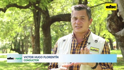 Importancia del tamaño de las vacas lecheras en Paraguay