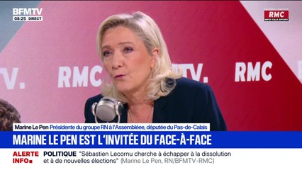 ArcelorMittal: "Pour nous, la nationalisation est le moins pire de ce qu'il peut nous arriver", assure Marine Le Pen