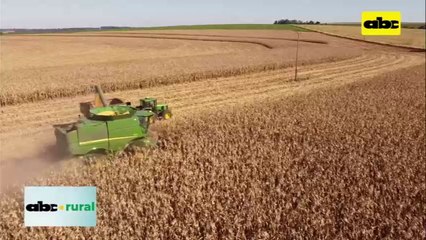 Baja 83% exportación de maíz entre enero y febrero