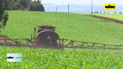 Presentaron herbicida para control de malezas en maíz