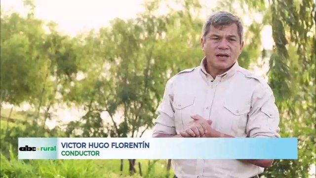 Paraguay como país ideal para inversiones forestales en forma sostenible