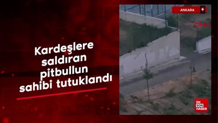 Ankara'da kardeşlere saldıran pitbullun sahibi tutuklandı