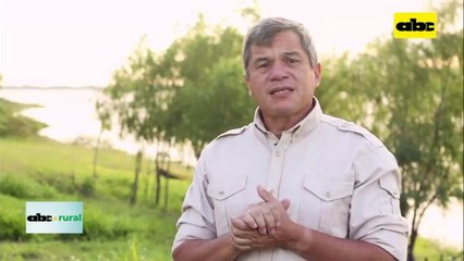 Resultados de tecnología de aplicación de productos en cultivos