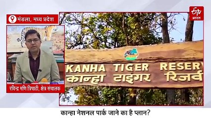 मंडला के कान्हा नेशनल पार्क जाने का है प्लान? पहले जान लें इस बड़े बदलाव के बारे में