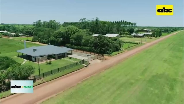 Impregnación de maderas en Planta Forestal de la Cooperativa Volendam