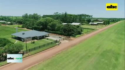 Impregnación de maderas en Planta Forestal de la Cooperativa Volendam