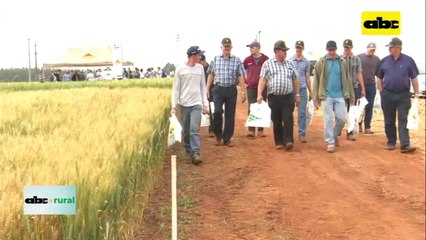 Confirman la mas baja exportación de trigo en 10 años