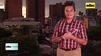 Variedades de trigo para realizar una siembra escalonada