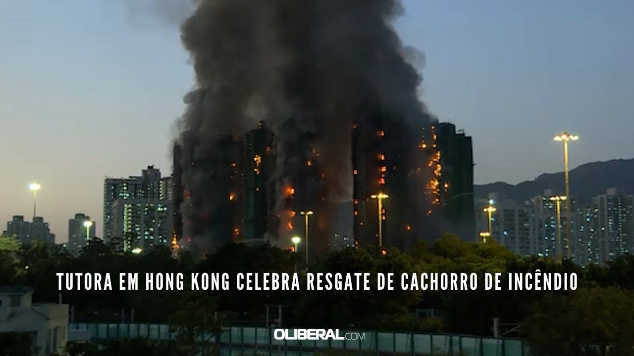 Tutora em Hong Kong celebra resgate de cachorro de incêndio