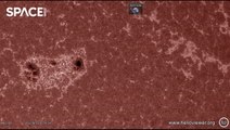Watch Time-Lapse Of Massive Sunspot Growth From Spacecraft