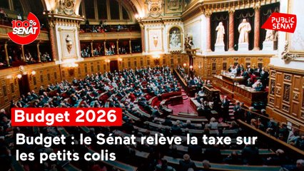 100% Sénat - Budget : le Sénat relève la taxe sur les petits colis