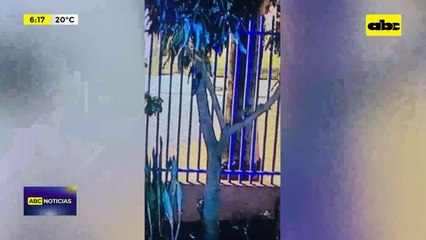 Video: Vecinos maniataron y redujeron a motoasaltante