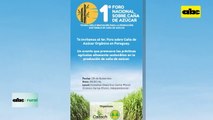 Video: Preparan Foro Nacional sobre Caña de Azúcar orgánica