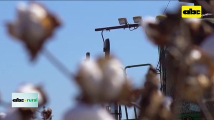 Video: maquinarias usadas importadas podría traer semillas de malezas