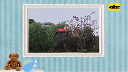 Innovación que da vida uruguayos envían leche materna en drones