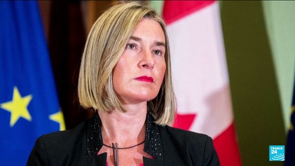 Former EU top diplomat Mogherini held in fraud probe