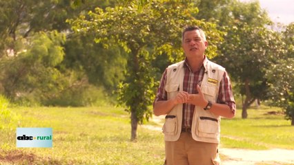 Uso de fertilizantes foliares para un mejor desarrollo de soja