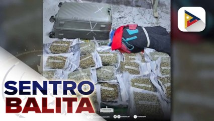 P14.9-M halaga ng mga kush na tinangkang ipuslit sa bansa, nakumpiska ng BOC