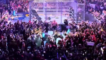 Brock Lesnar vs Roman Reigns WarGames - WWE Survivor Series 11/29/25