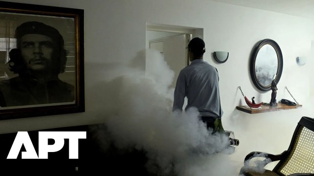 Cuba Confirms 33 Deaths As Mosquito-Borne Epidemic Spreads Rapidly Across The Island | APT