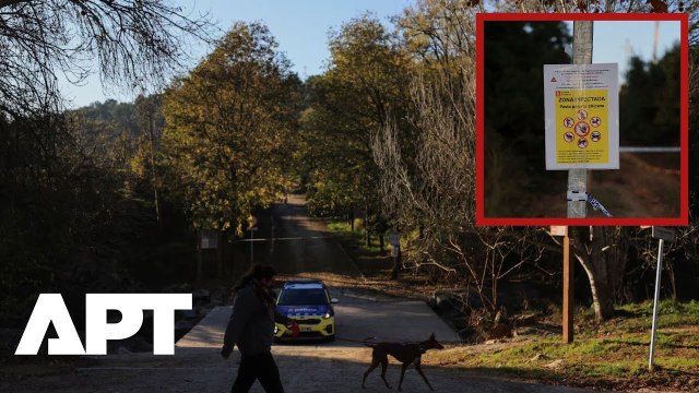 Spanish Forces Track Wild Boars as Swine Fever Sparks Emergency Biosecurity Measures | APT