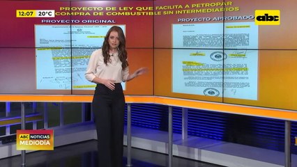 Petropar: diferencias entre el proyecto de ley original y el que fue aprobado