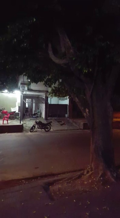 Polución sonora