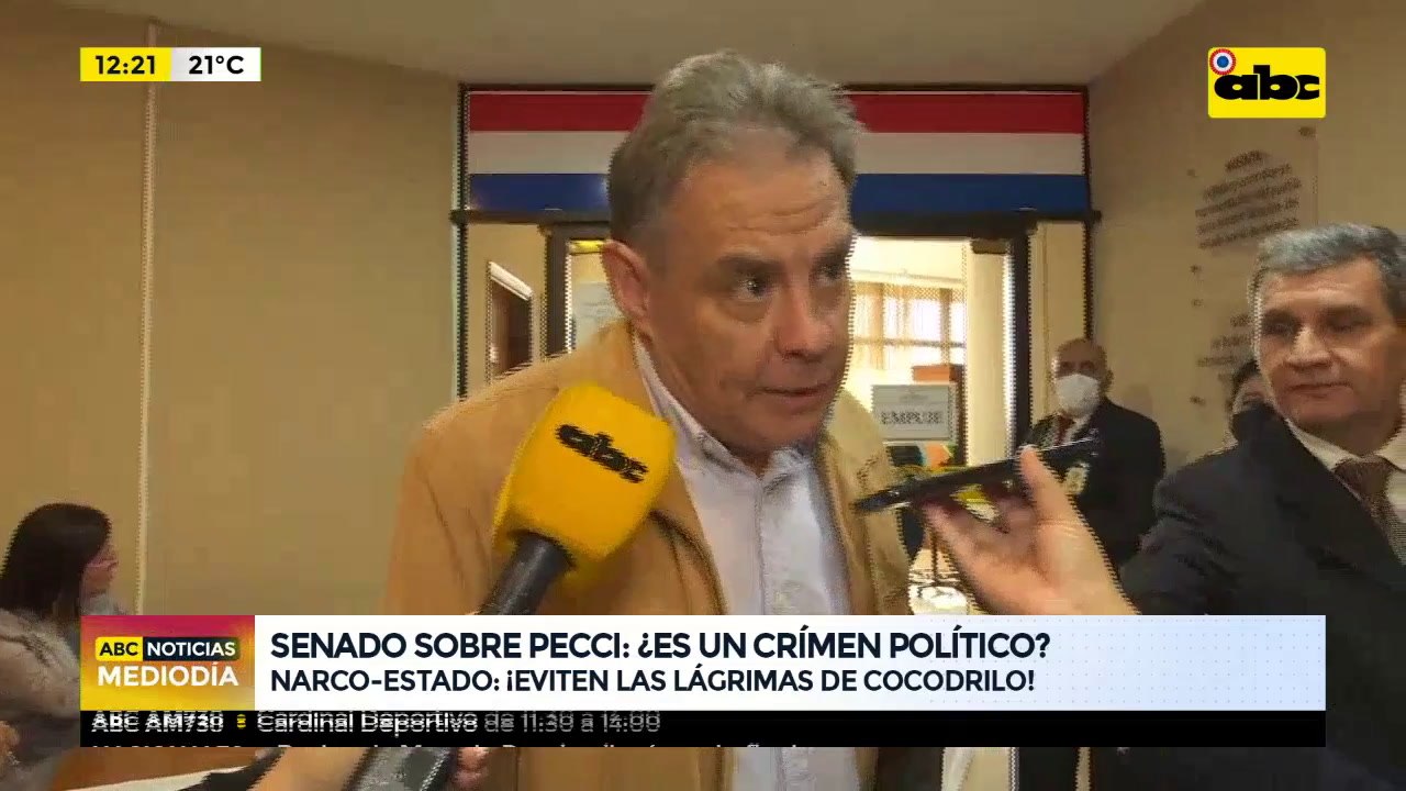 Senado sobre Pecci: ¿Es un crimen político?
