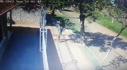 Presuntos ladrones fueron captados