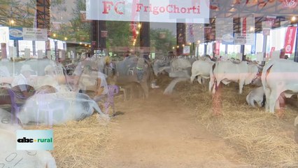 Expo Pioneros del Chaco espera a visitantes y dan detalles