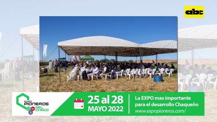 Variedades de soja Great Seeds se adaptan al Chaco