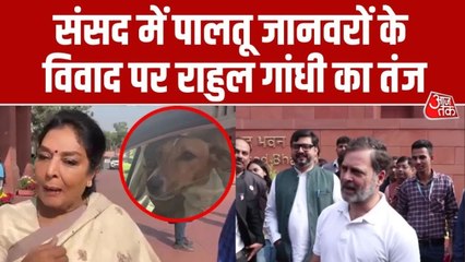 क्या कर द‍िया बेचारे ने? संसद में कुत्ते की एंट्री व‍िवाद पर राहुल गांधी का सवाल