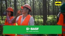 Actividad forestal y la importancia de cada actor de la cadena