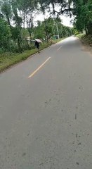 No se salvan ni los carteles: detienen a presunto ladrón de poste de señalización