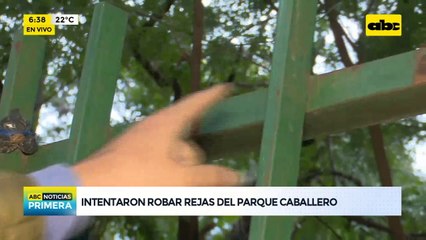 Arrancan al menos 100 barrotes de la reja del Parque Caballero
