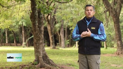 Expo Pioneros apunta a seguir creciendo en forma sustentable