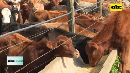 ABC RURAL: estrategias nutricionales para acelerar ciclos productivos