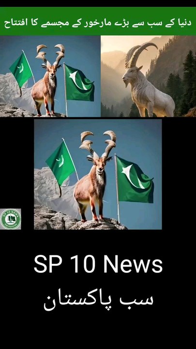 The world's largest Markhor statue has been inaugurated.