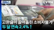고환율이 끌어올린 소비자물가...두 달 연속 2.4% 상승 / YTN