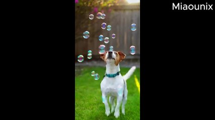 Animals Teach Us What Makes Life Live