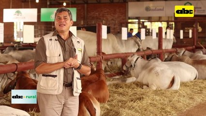 UPL propicio reunión de Embajador de India con empresarios