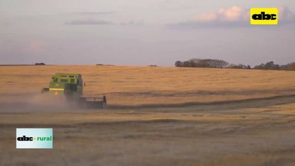 ABC RURAL: Famato Embrapa Show de Tecnología