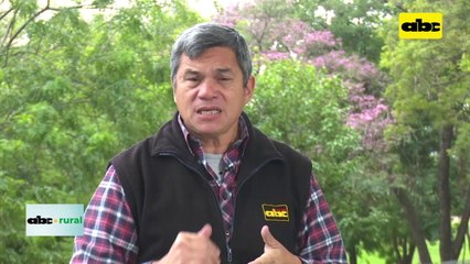 Cultivos que avanzan en el Chaco y la necesidad de más silos