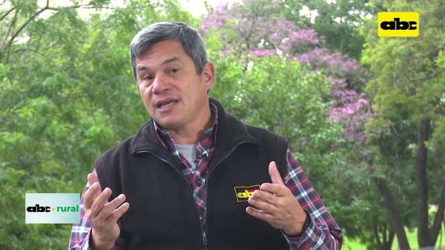 Agrohomeopatia en cultivos, su acción y sus ventajas
