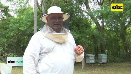 Actualidad de la apicultura y posibilidades