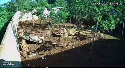 Un solitario ladrón ingresó a una vivienda y robó la suma de G. 8.500.000 en efectivo.