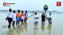 WATCH | Widespread Agricultural Losses Recorded Due To Cyclone Ditwah