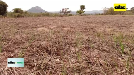 ABC RURAL: preparan jornada sobre manejo de suelo en Edelira