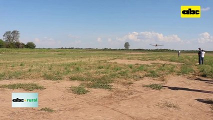 ABC RURAL: control de malezas y hormigas con pulverización aérea en el Chaco