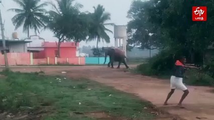 மக்களை துரத்திய ஒற்றை காட்டு யானை  - வைரலாகும் வீடியோ
